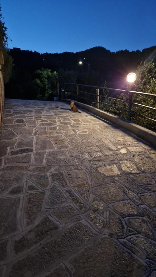 Villa Degli Ulivi Tivegna Екстериор снимка