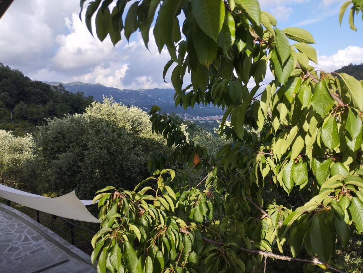 Villa Degli Ulivi Tivegna Екстериор снимка