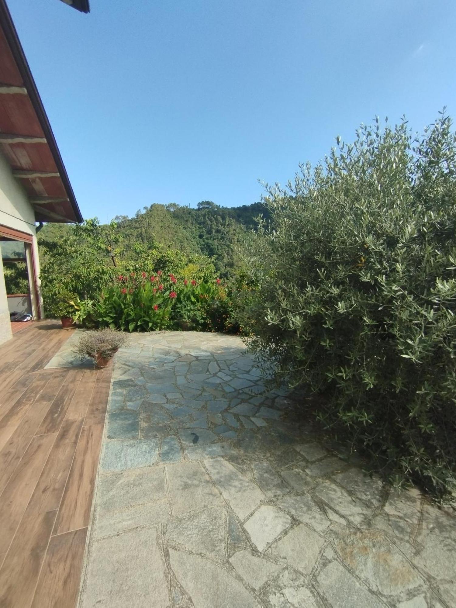 Villa Degli Ulivi Tivegna Екстериор снимка