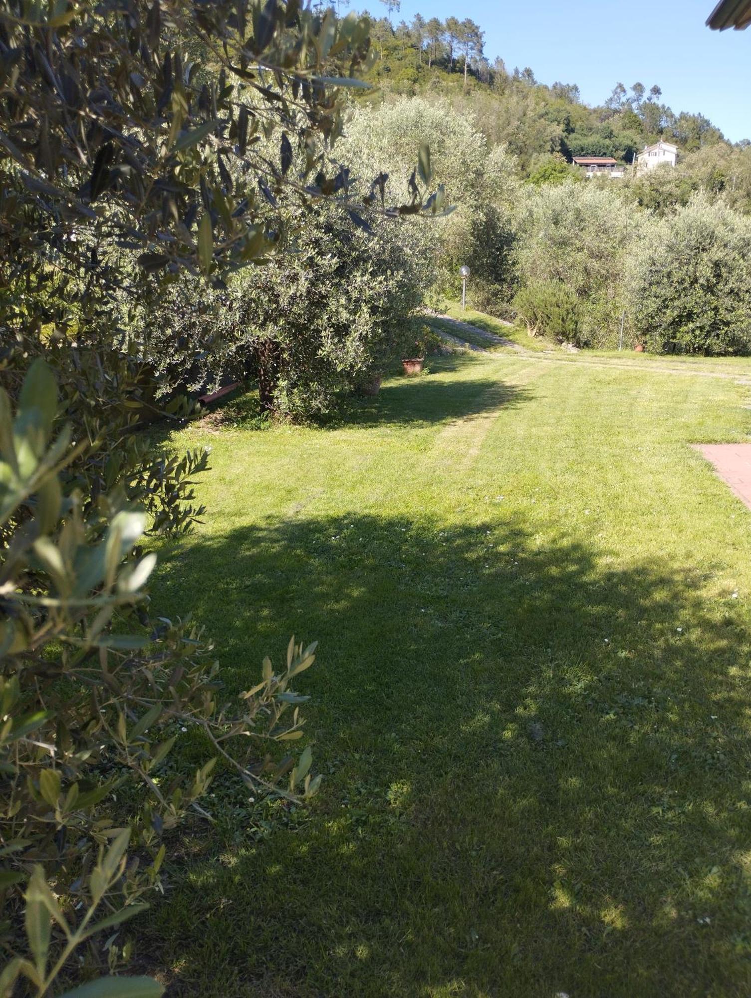 Villa Degli Ulivi Tivegna Екстериор снимка