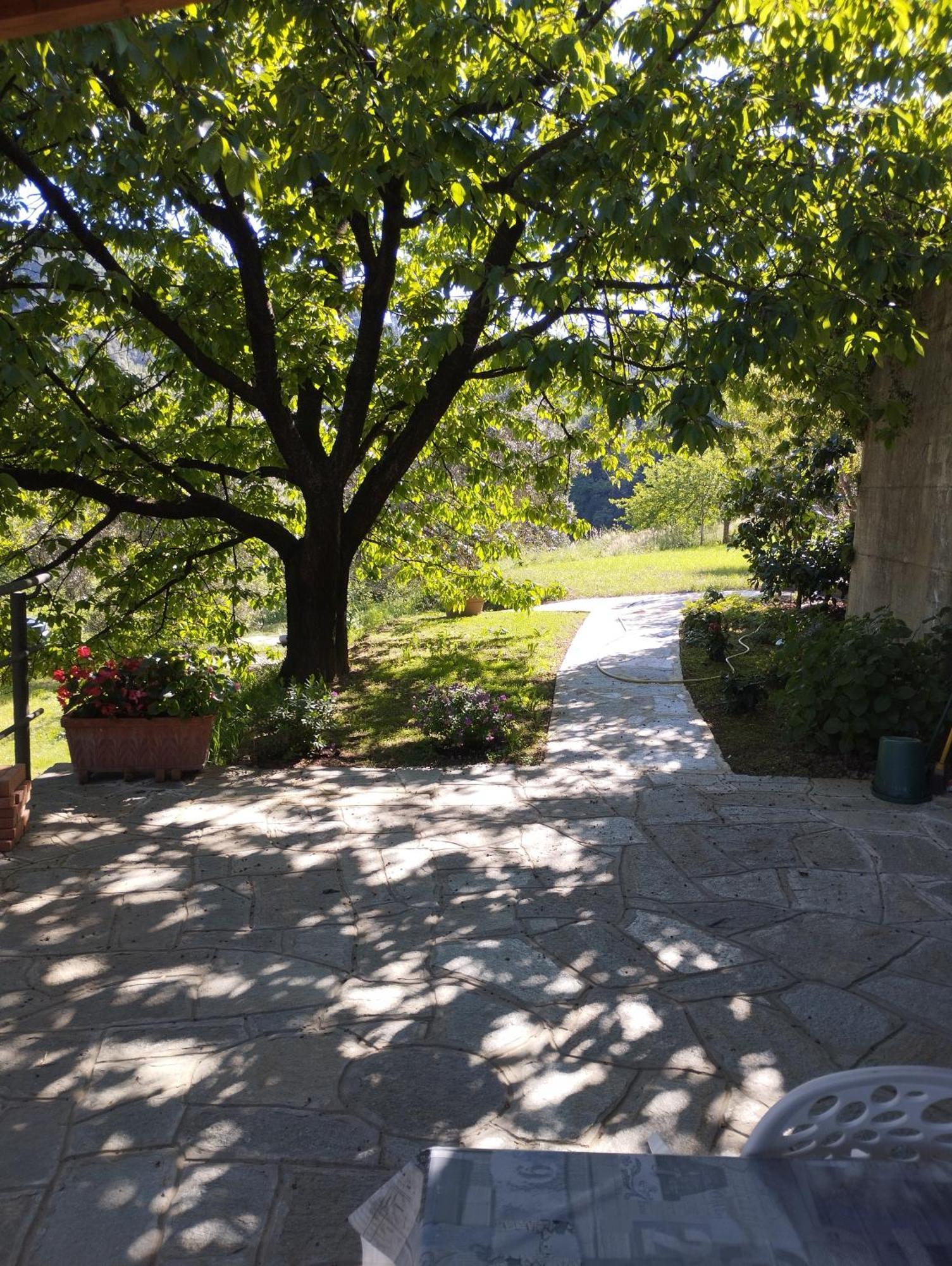 Villa Degli Ulivi Tivegna Екстериор снимка