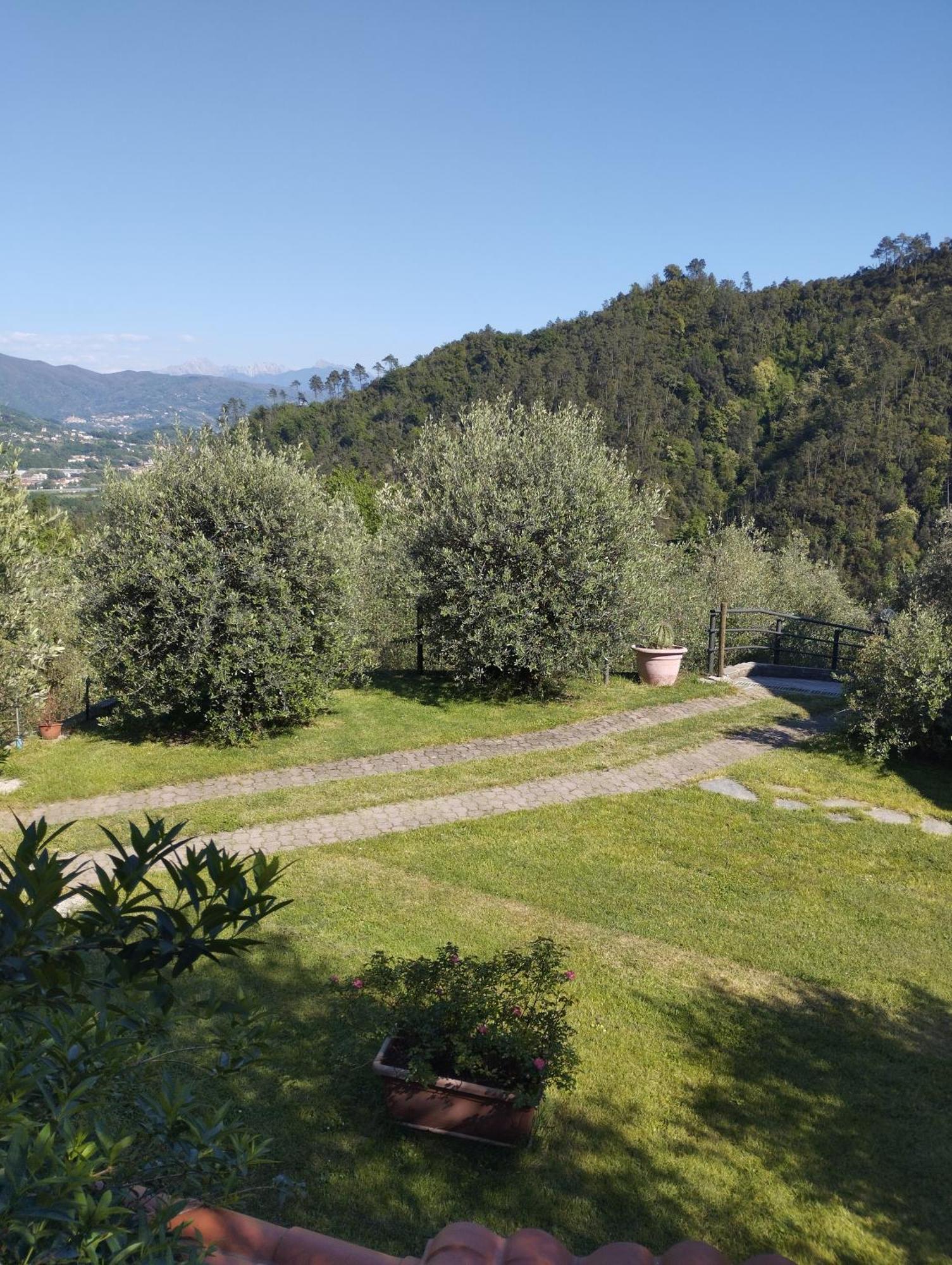 Villa Degli Ulivi Tivegna Екстериор снимка