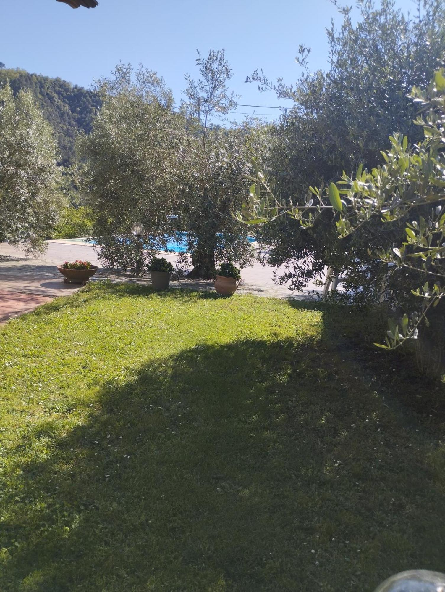 Villa Degli Ulivi Tivegna Екстериор снимка